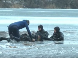 В интернете появилось видео с места гибели подростка подо льдом