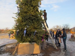 На Арабатской стрелке установили новогоднюю елку под видеонаблюдением