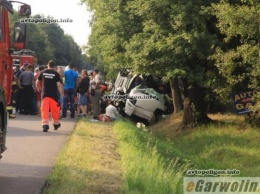 ДТП в Польше: автобус слетел в кювет и врезался в дерево - погибли 6 украинцев. ФОТО