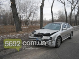 ДТП на Днепропетровщине: авто врезалось в дерево