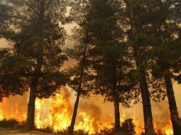 В Чили из-за пожара объявили "красный" уровень опасности