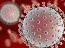 Ученые исследовали механизм действия вируса Зика