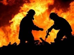 За 3 дня спасатели Херсонщины ликвидировали 14 пожаров