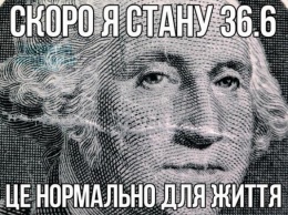 За три дня гривна обвалилась до параметров, не предусмотренных бюджетом Украины