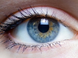Verily и Nikon объединяют усилия для борьбы с заболеваниями глаз