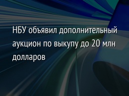 НБУ объявил дополнительный аукцион по выкупу до 20 млн долларов