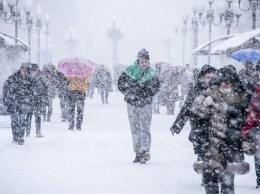 В Москве пройдет метель и выпадет 15 см снега