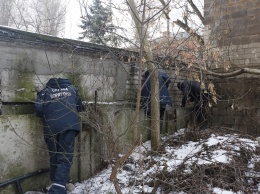 Спасатели перфоратором и болгаркой вырезали собаку из бетонного плена (Видео)