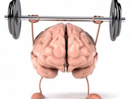 Ученые: Спорт помогает качать не только мышцы, но и мозг