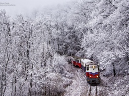 Красота зимнего леса глазами машиниста поезда: опубликованы завораживающие фото