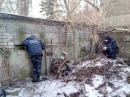 В Днепре освободили собаку, а она укусила спасателя (Видео, Фото)