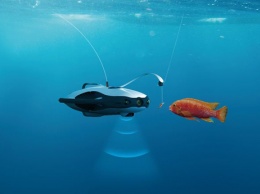 Китайцы показали робота с эхолотом для подводной рыбалки