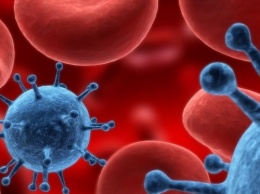 Ученые использовали иммунные клетки для доставки к опухолям противораковых препаратов