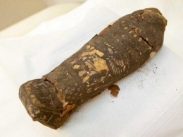 Ученые нашли египетскую мумию недоношенного младенца