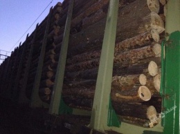 Одесские правоохранители помешали незаконному вывозу леса (фото)