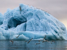 Ученые: Арктика последние пять лет была пригодна для жизни человека