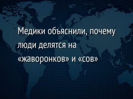 Медики объяснили, почему люди делятся на «жаворонков» и «сов»