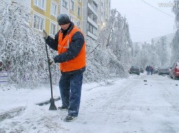 В Херсоне нацгвардейцы вместе с уборщиками чистят от снега территорию почти 300 домов