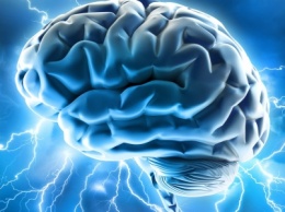 Обнаружен участок мозга, отвечающий за уникальность человека – ученые