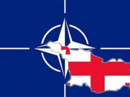Минобороны Грузии: Если нас не примут в НАТО, это будет трагедией