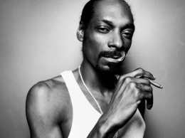 Snoop Dogg обвинил шведских полицейских в расизме