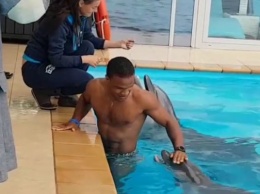 Знаменитого украинского призера Олимпиады укусил ревнивый дельфин: курьезное видео