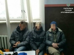 В Кропивницком трое человек снимали номерные знаки