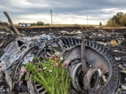 Катастрофа MH17: в Нидерландах задержали журналиста с обломками Boeing