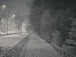 В Петербурге ожидается потепление