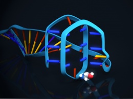 Биохимики создали универсальный сенсор на аптамерах