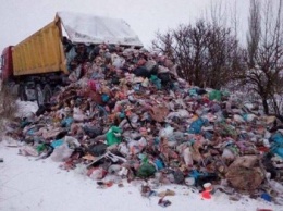 Лес под Киевом превратили в свалку (ФОТО)