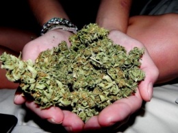 За сутки на Луганщине изъято около 4,5 кг наркотических веществ