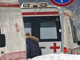 На смену Боярышнику: в РФ гибнут от стеклоочистителя Дед Мороз