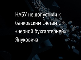 НАБУ не допустили к банковским счетам с «черной бухгалтерией» Януковича