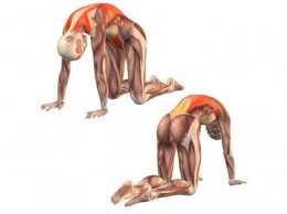 Фасциальная гимнастика: 2 упражнения, которые активизируют процесс саморегуляции организма