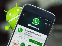 Обновленный WhatsApp получил нативную поддержку сервиса Giphy