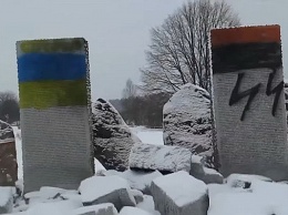 Уничтожение памятника на Западной Украине: Поляки теперь могут понять, что чувствуют русские