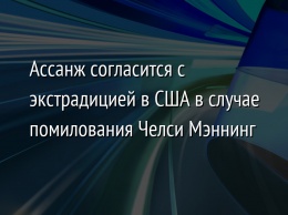 Ассанж согласится с экстрадицией в США в случае помилования Челси Мэннинг