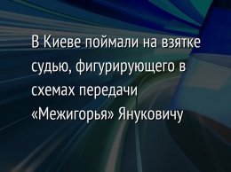 В Киеве поймали на взятке судью, фигурирующего в схемах передачи «Межигорья» Януковичу