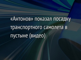 «Антонов» показал посадку транспортного самолета в пустыне (видео)