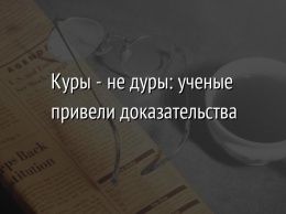 Куры - не дуры: ученые привели доказательства