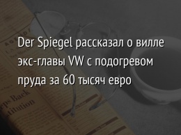 Der Spiegel рассказал о вилле экс-главы VW с подогревом пруда за 60 тысяч евро