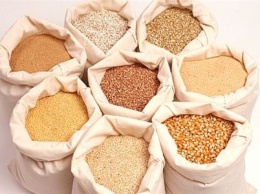 Минагрополитики: Украина экспортировала почти 1,9 млн тонн зерна