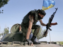 Количество погибших украинских военных с начала АТО в Донбассе достигло 2,3 тысячи