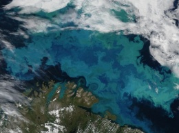 Плотные облака над океанами формируются благодаря планктону