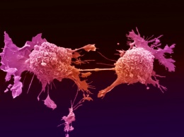 Ученые рассказали о негенетических причинах развития рака