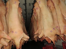 В Крым не пустили почти 19 тонн сомнительной украинской свинины