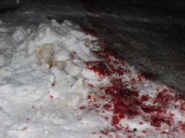 Кровавые разборки: бандиты напали на толпу на Житомирщине