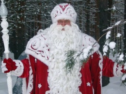Школьник из Иркутска стал автором лучшего рисунка Деду Морозу