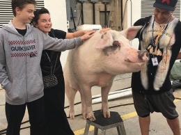 Наташа Королева обпуликовала семейное фото со свиньей